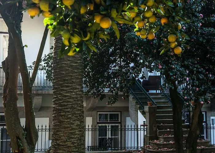 Bed & Breakfast Loft Oporto