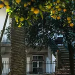 Bed and breakfast Loft Oporto